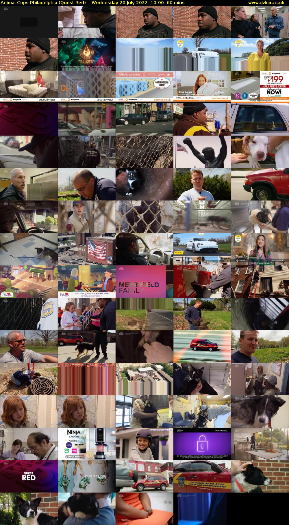 Animal Cops Philadelphia (Quest Red) Wednesday 20 July 2022 10:00 - 11:00