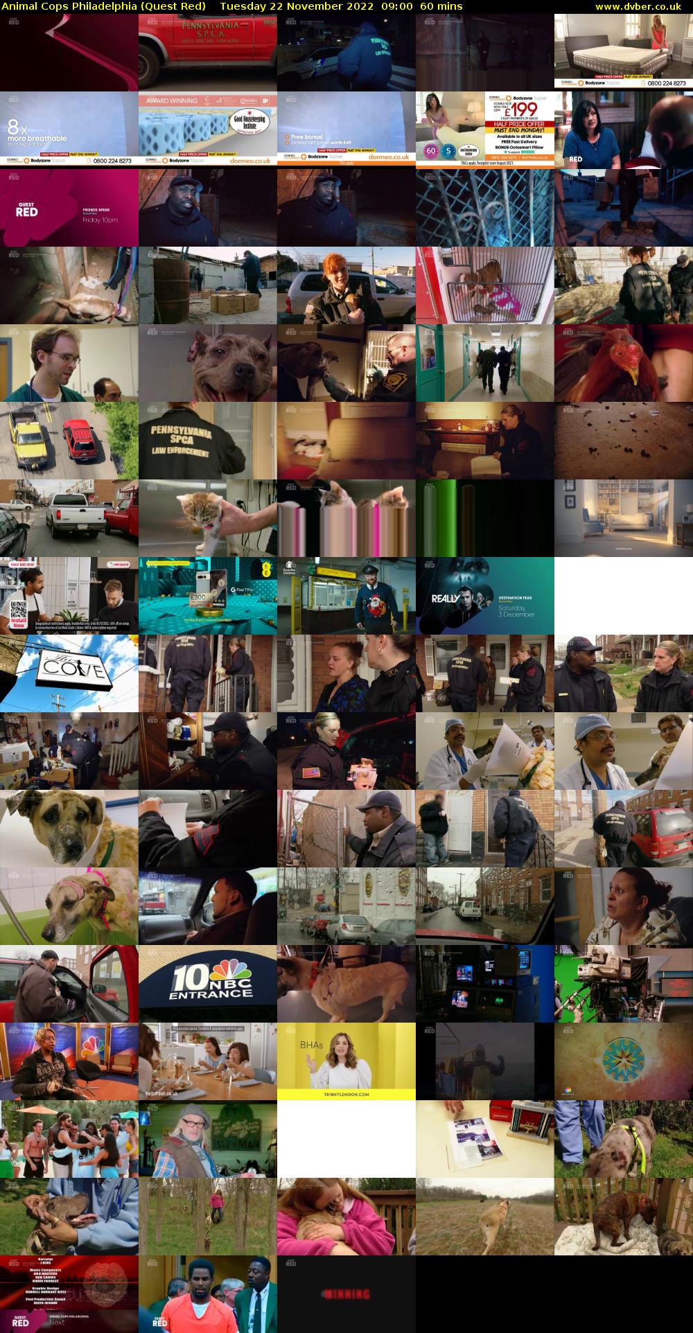 Animal Cops Philadelphia (Quest Red) Tuesday 22 November 2022 09:00 - 10:00