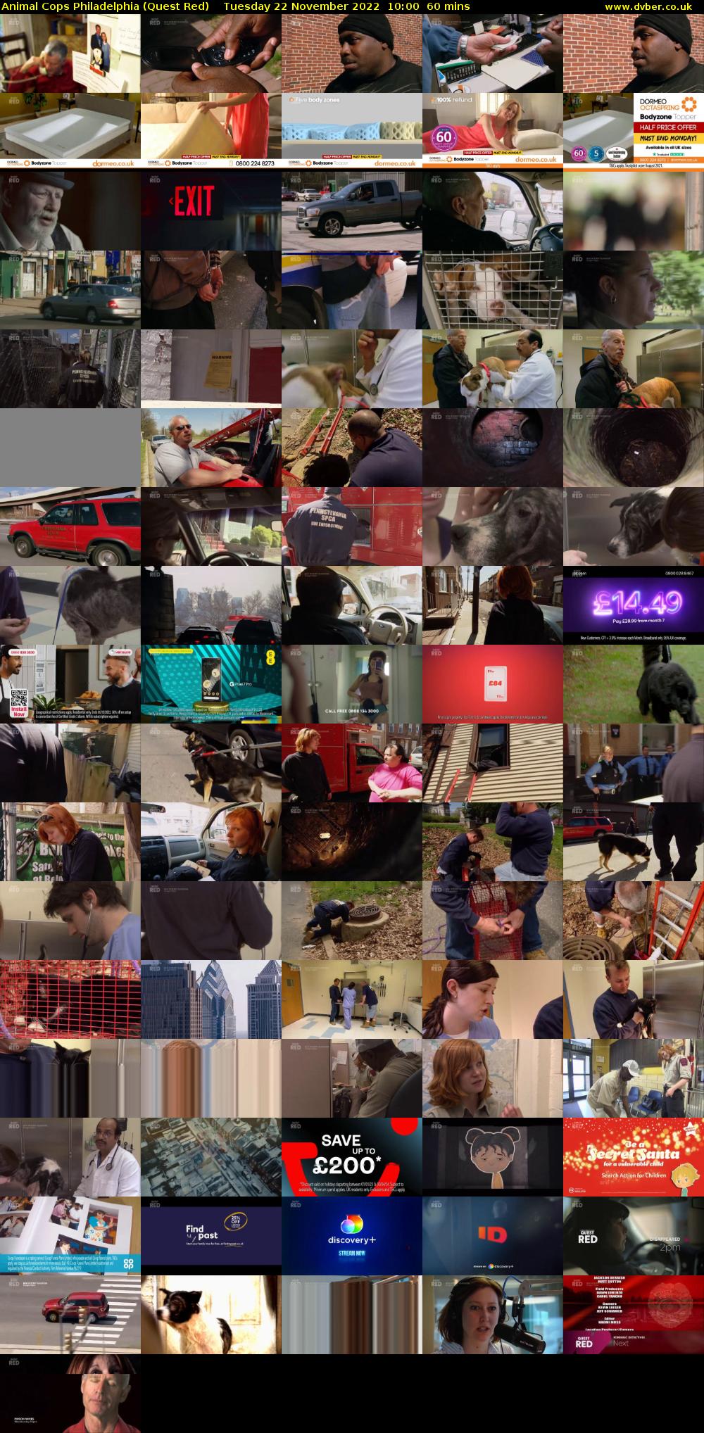 Animal Cops Philadelphia (Quest Red) Tuesday 22 November 2022 10:00 - 11:00