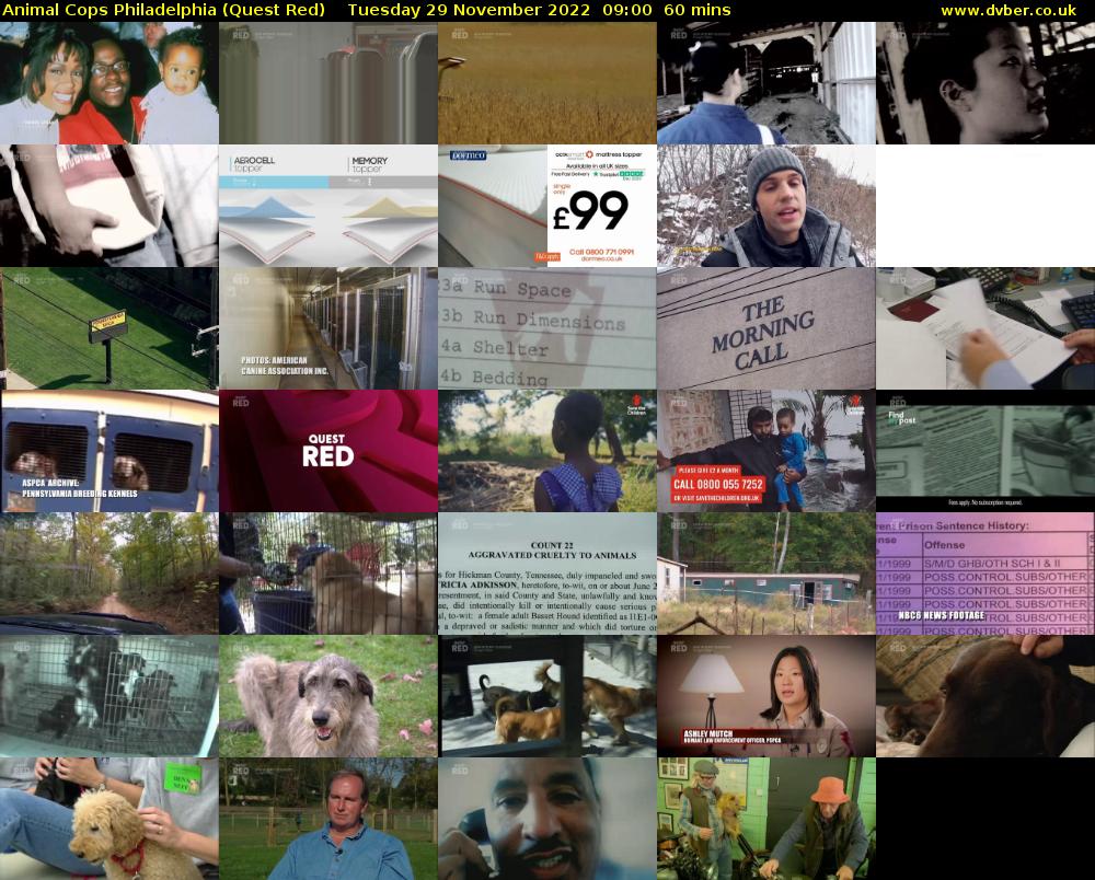 Animal Cops Philadelphia (Quest Red) Tuesday 29 November 2022 09:00 - 10:00