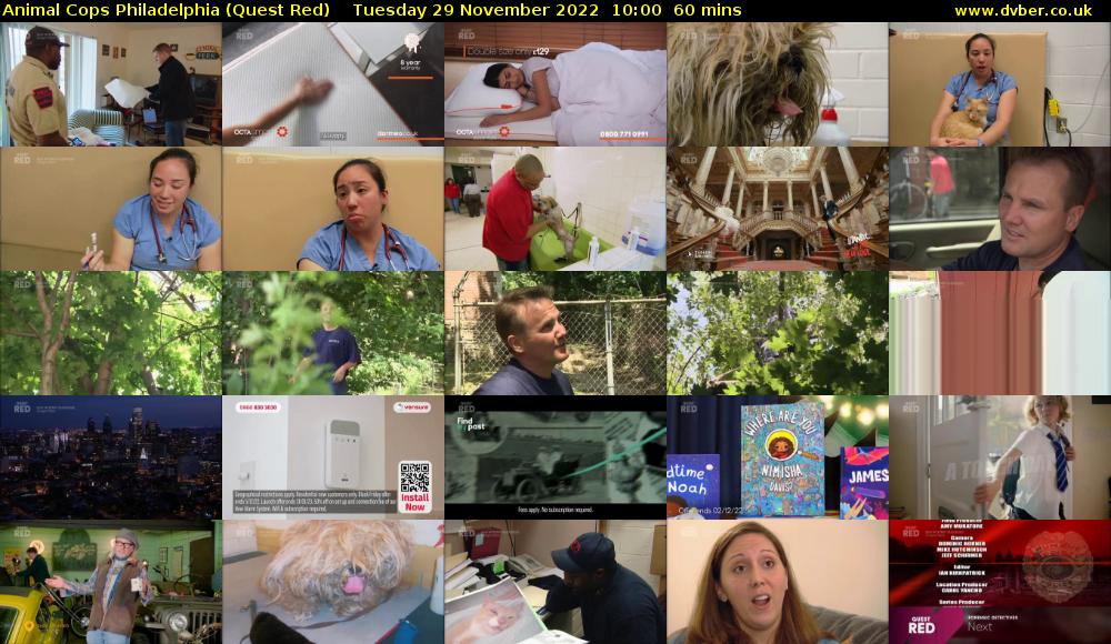 Animal Cops Philadelphia (Quest Red) Tuesday 29 November 2022 10:00 - 11:00