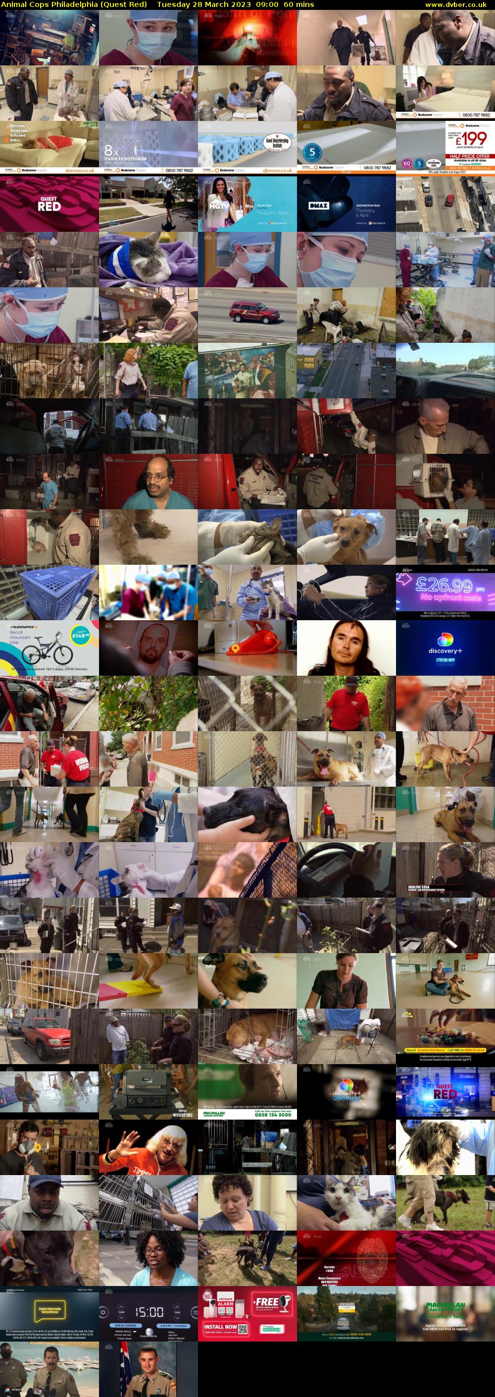 Animal Cops Philadelphia (Quest Red) Tuesday 28 March 2023 09:00 - 10:00
