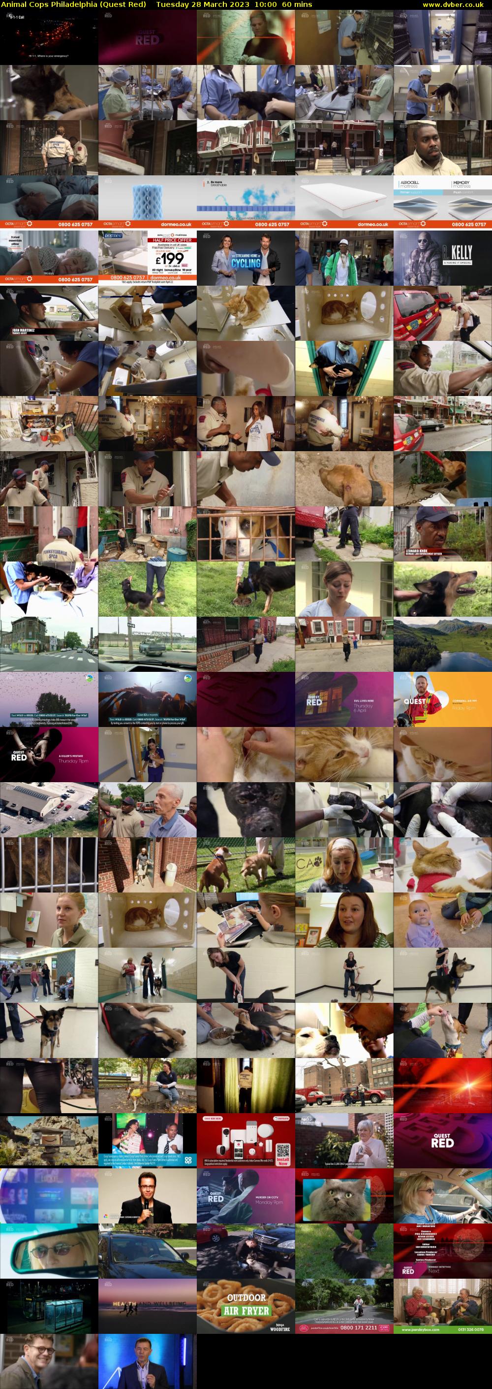 Animal Cops Philadelphia (Quest Red) Tuesday 28 March 2023 10:00 - 11:00