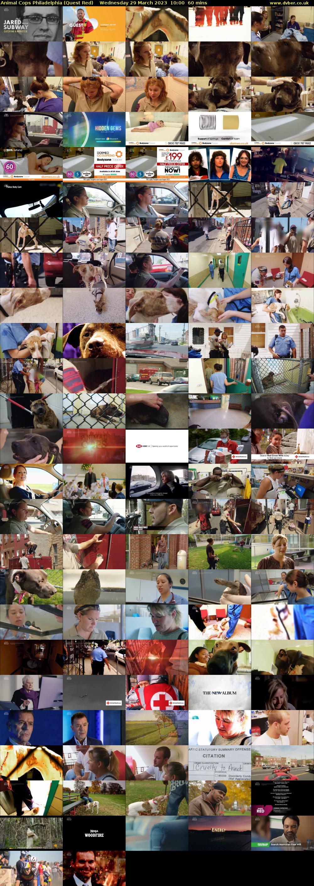 Animal Cops Philadelphia (Quest Red) Wednesday 29 March 2023 10:00 - 11:00