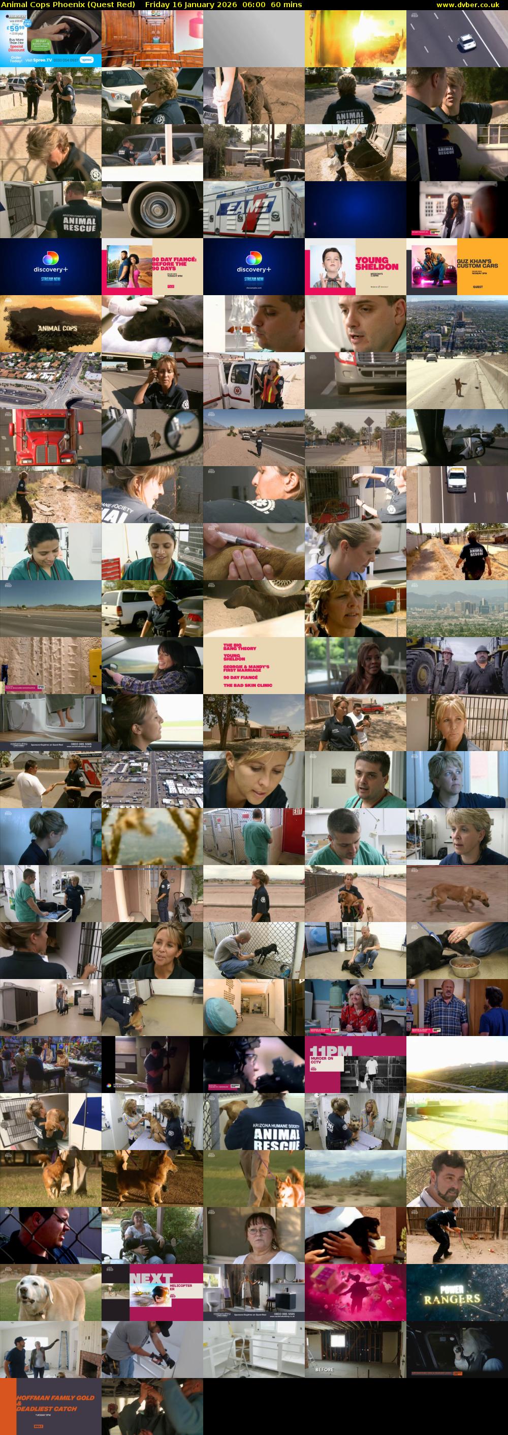 Animal Cops Phoenix (Quest Red) Friday 16 January 2026 06:00 - 07:00