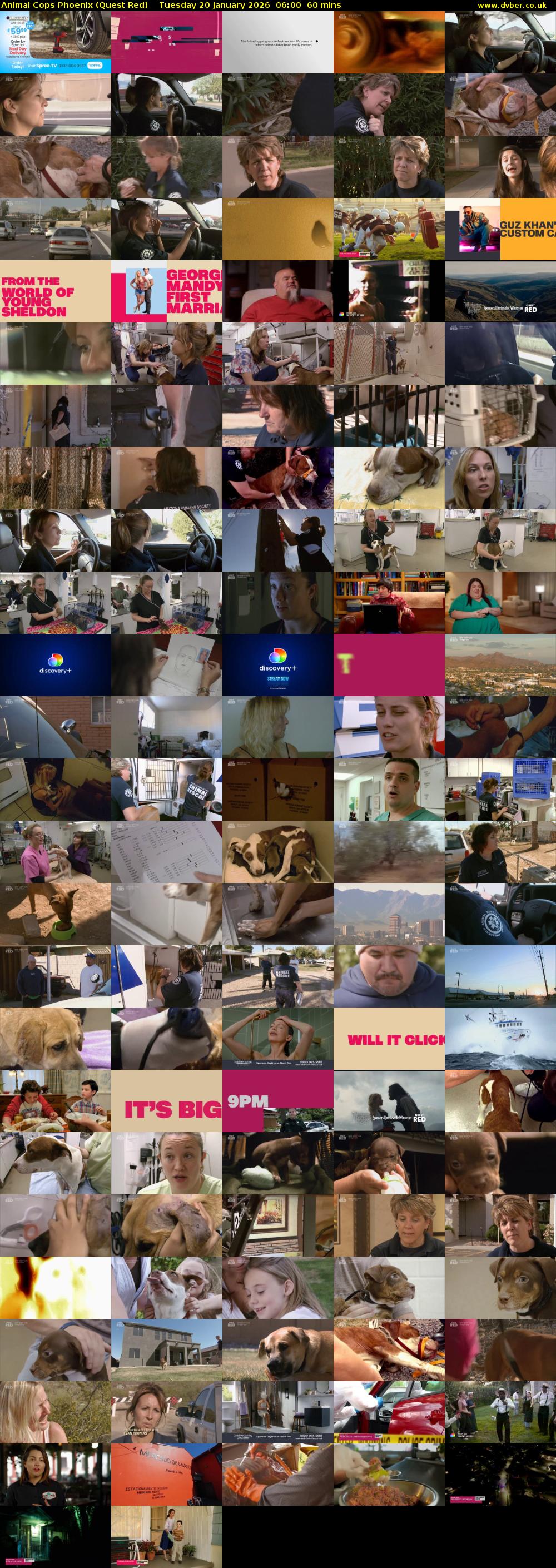 Animal Cops Phoenix (Quest Red) Tuesday 20 January 2026 06:00 - 07:00