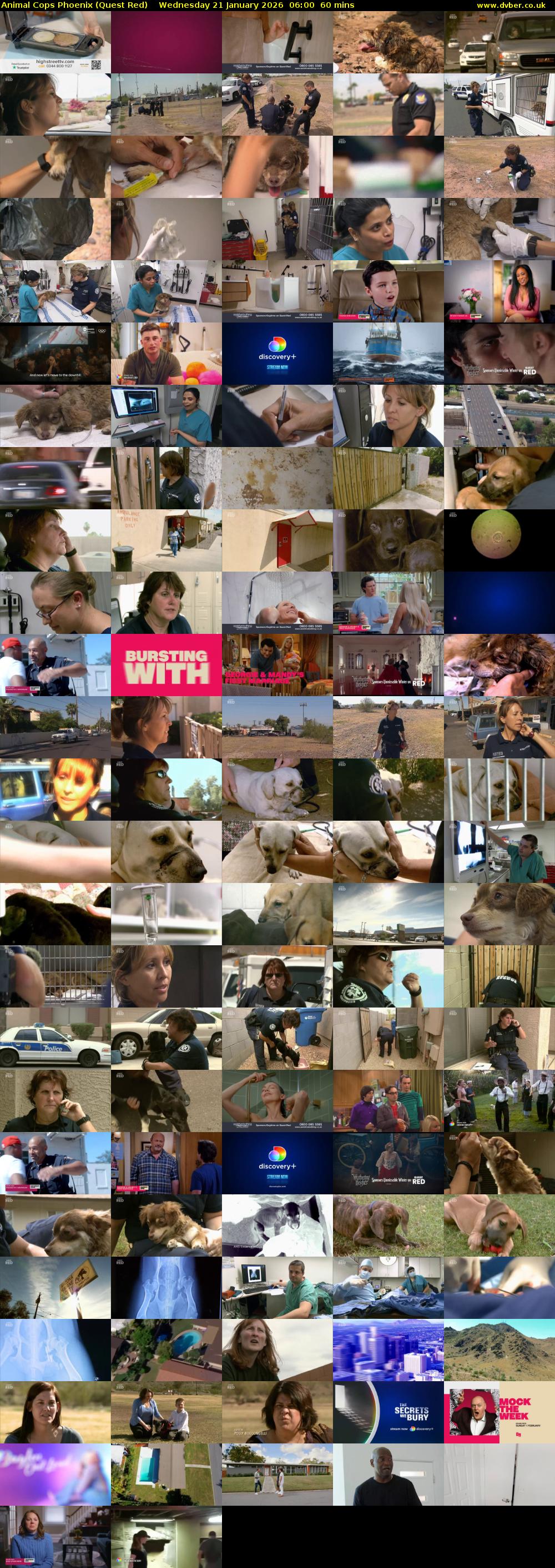 Animal Cops Phoenix (Quest Red) Wednesday 21 January 2026 06:00 - 07:00