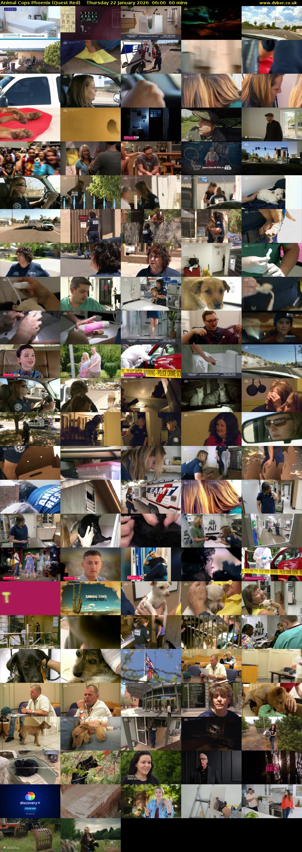 Animal Cops Phoenix (Quest Red) Thursday 22 January 2026 06:00 - 07:00