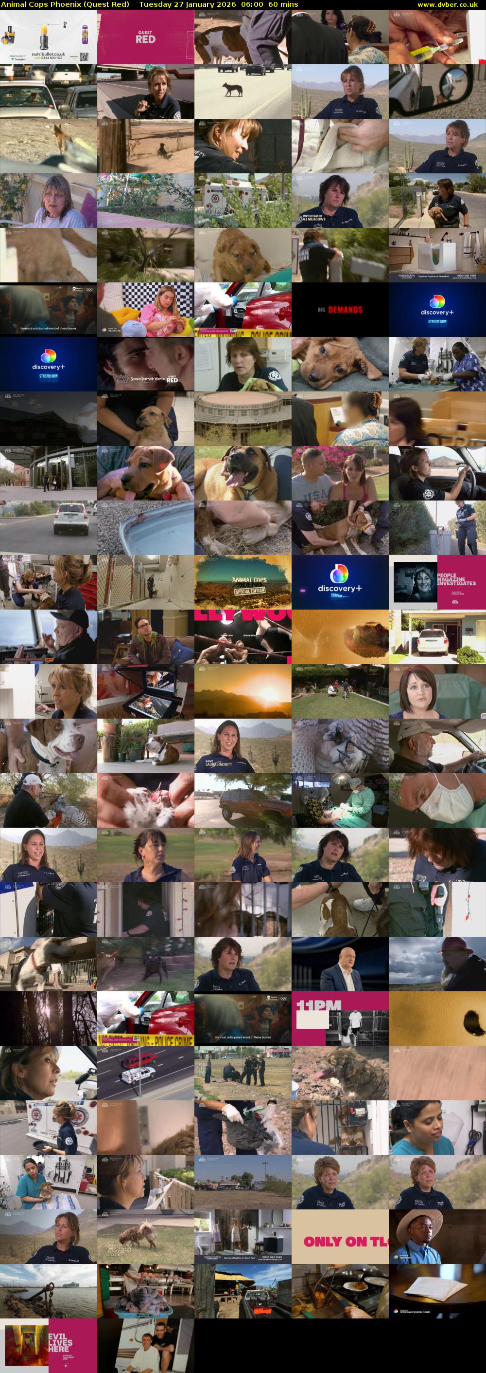 Animal Cops Phoenix (Quest Red) Tuesday 27 January 2026 06:00 - 07:00