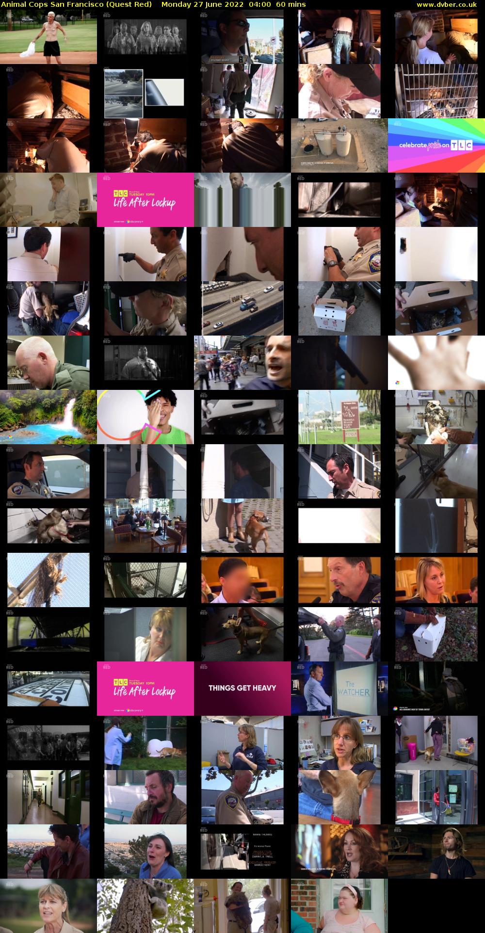 Animal Cops San Francisco (Quest Red) Monday 27 June 2022 04:00 - 05:00
