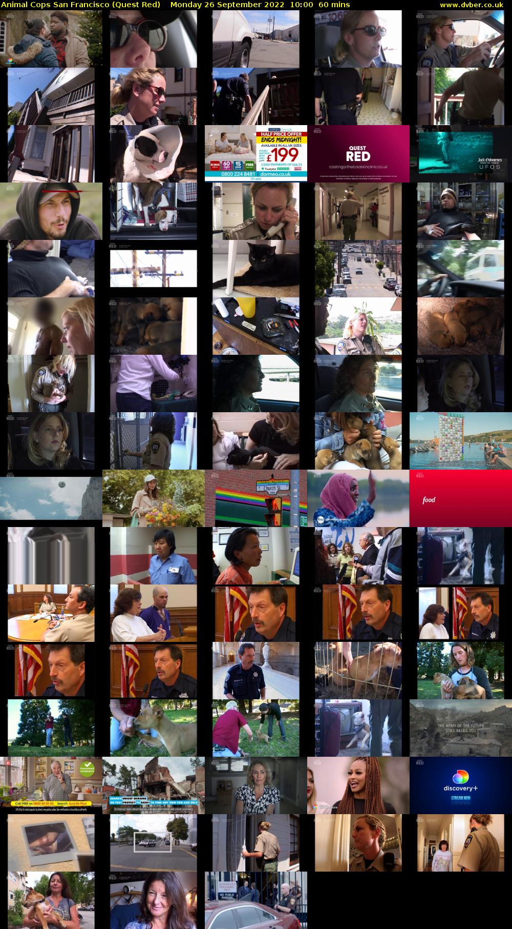 Animal Cops San Francisco (Quest Red) Monday 26 September 2022 10:00 - 11:00