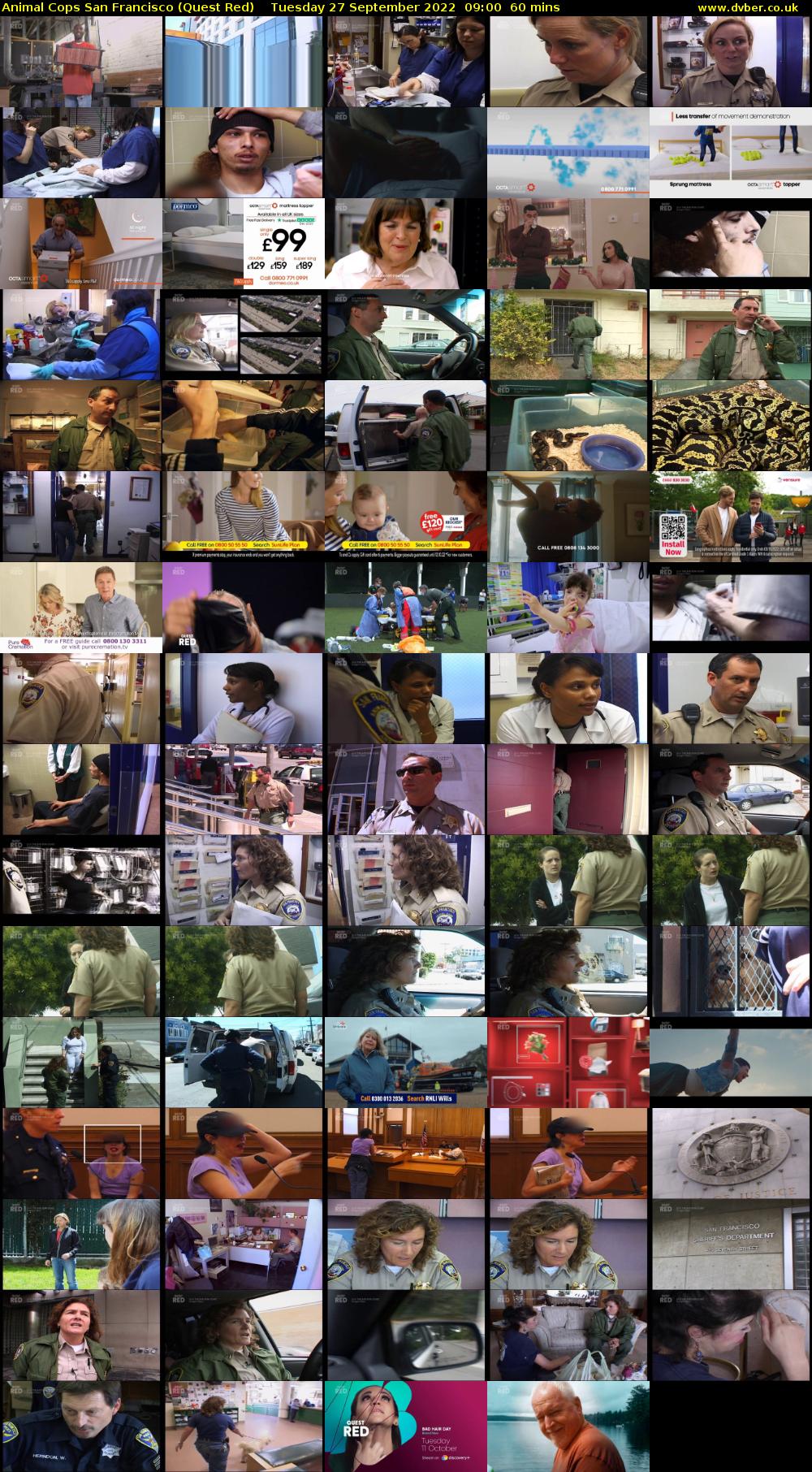 Animal Cops San Francisco (Quest Red) Tuesday 27 September 2022 09:00 - 10:00