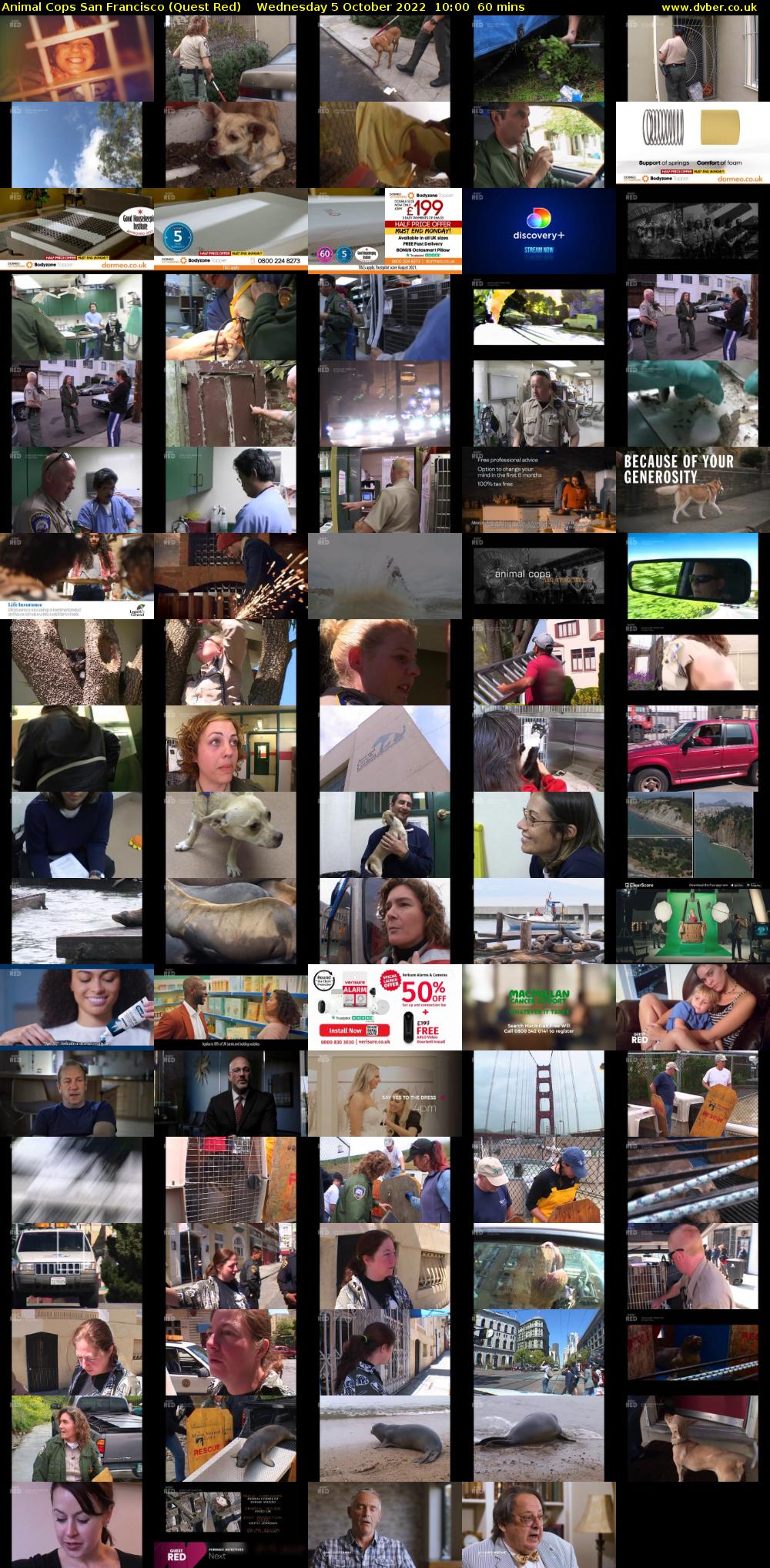 Animal Cops San Francisco (Quest Red) Wednesday 5 October 2022 10:00 - 11:00