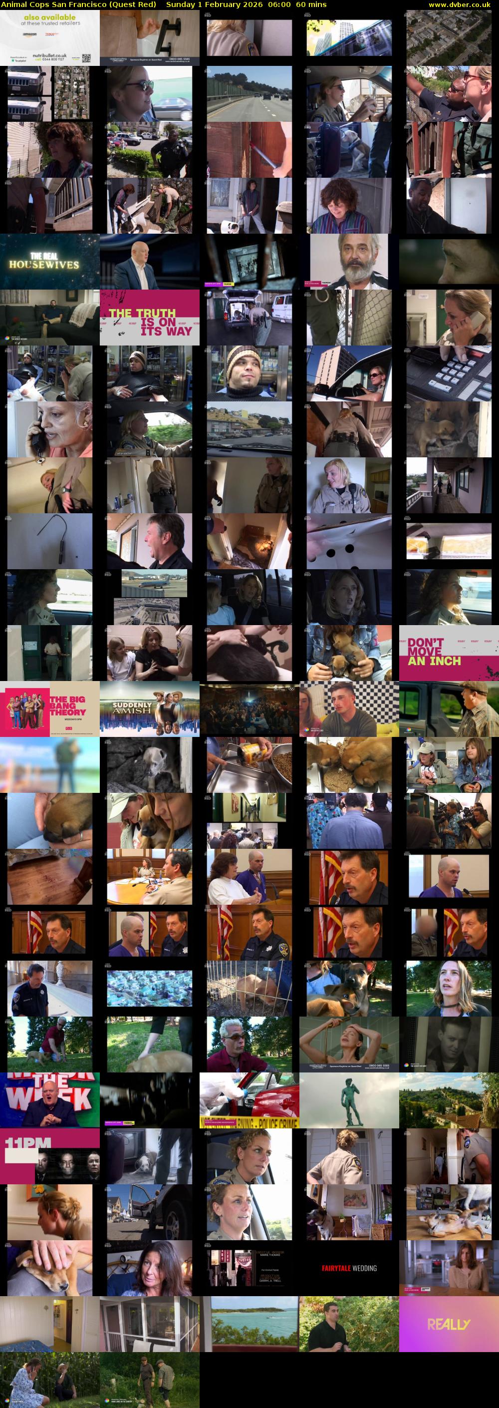 Animal Cops San Francisco (Quest Red) Sunday 1 February 2026 06:00 - 07:00