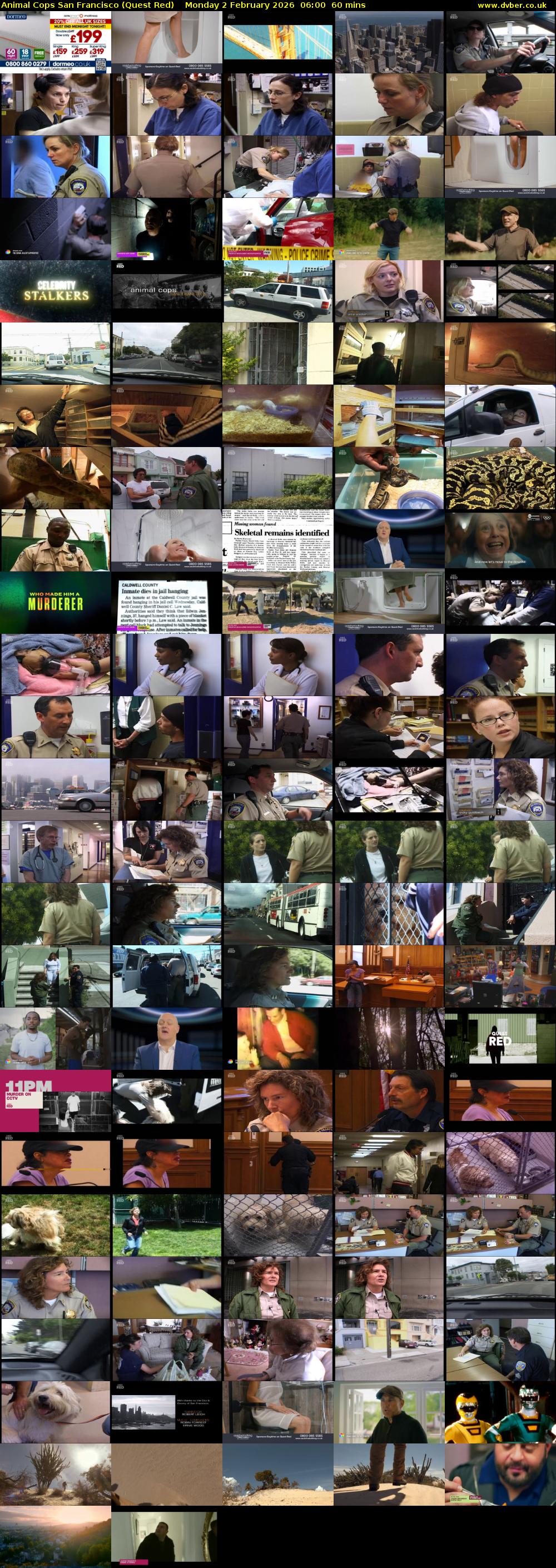 Animal Cops San Francisco (Quest Red) Monday 2 February 2026 06:00 - 07:00