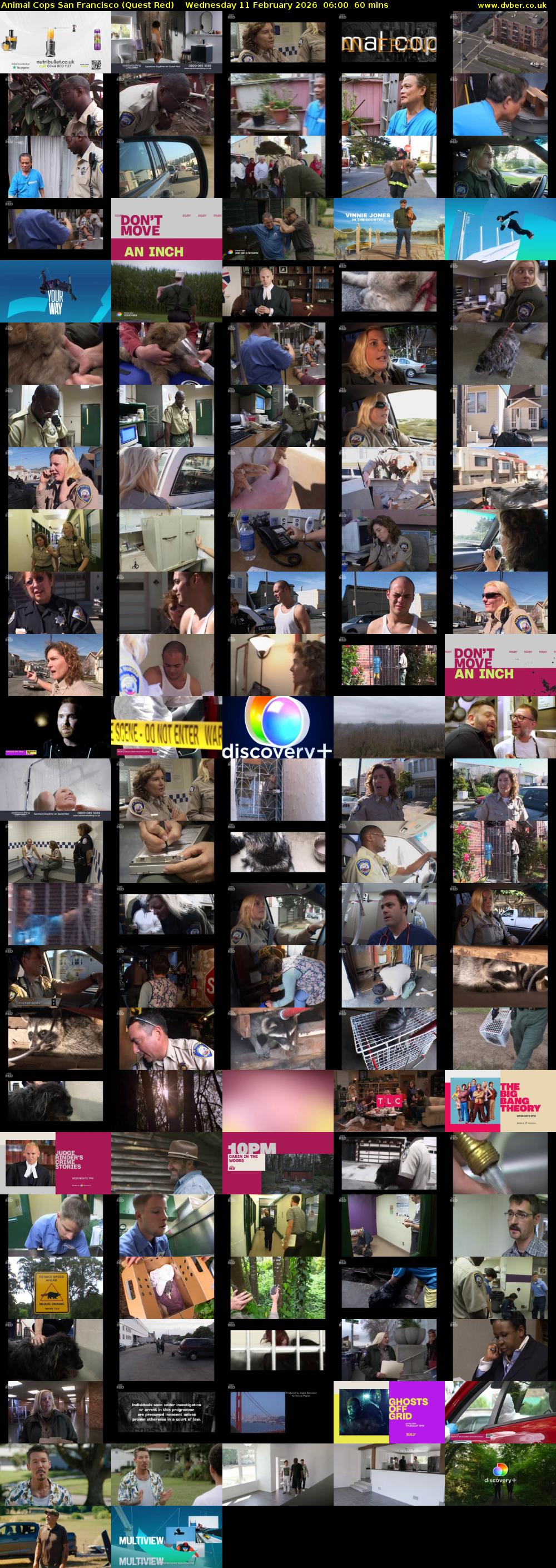 Animal Cops San Francisco (Quest Red) Wednesday 11 February 2026 06:00 - 07:00