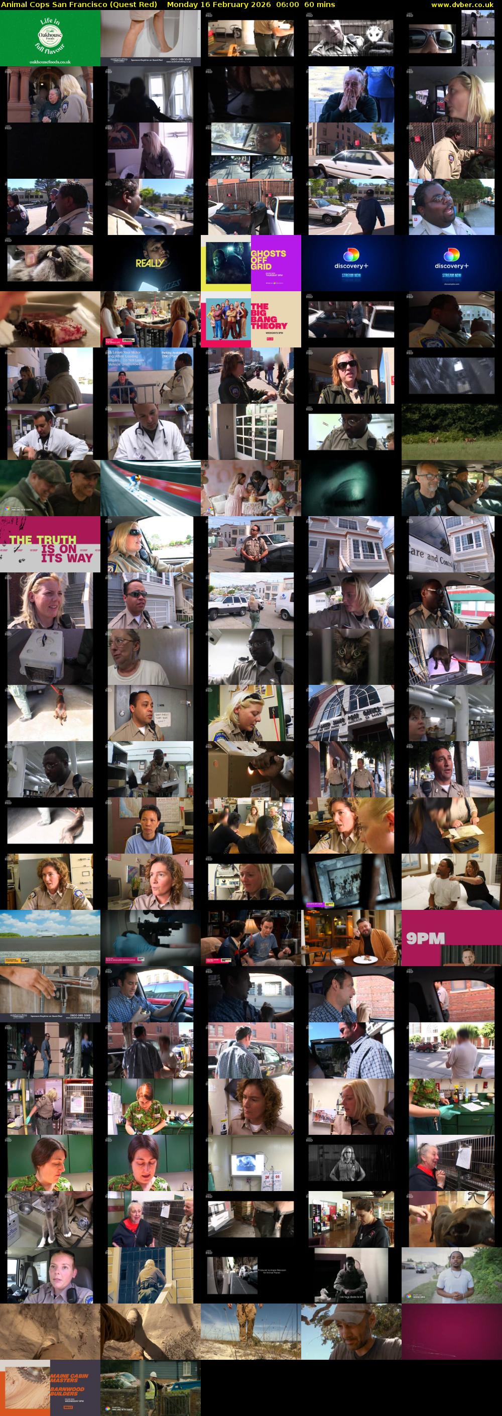 Animal Cops San Francisco (Quest Red) Monday 16 February 2026 06:00 - 07:00