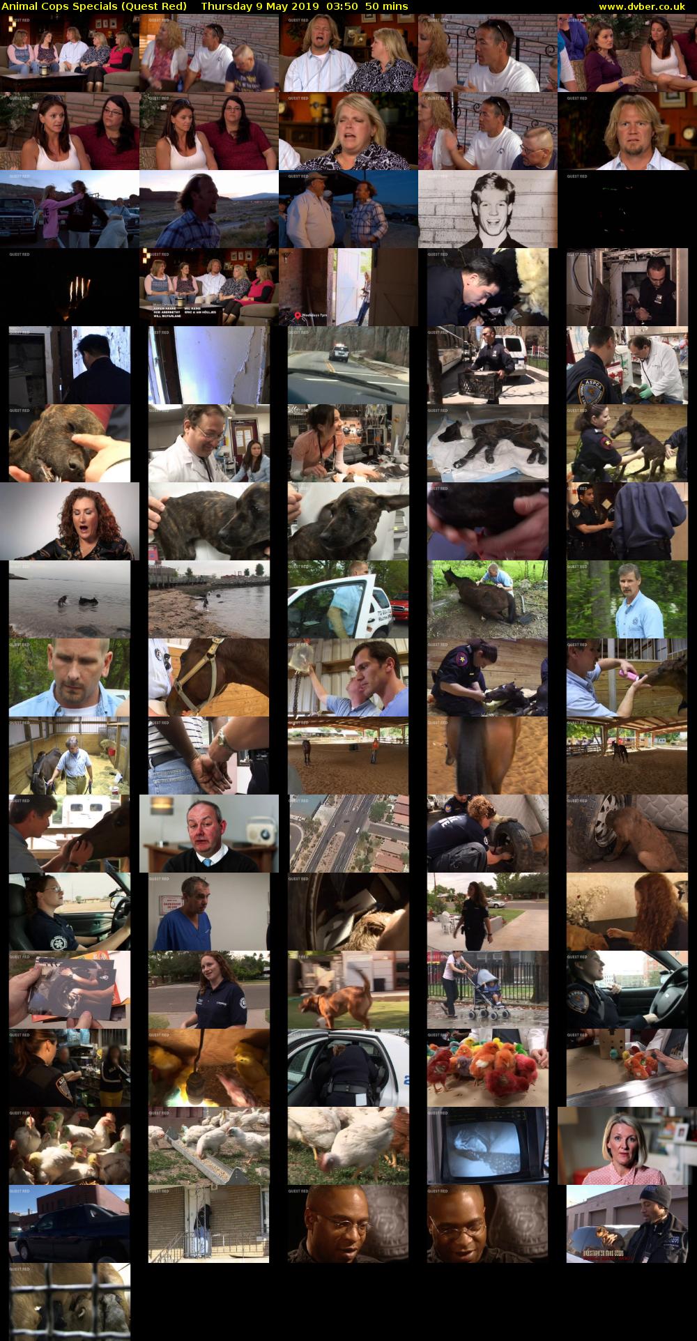 Animal Cops Specials (Quest Red) Thursday 9 May 2019 03:50 - 04:40