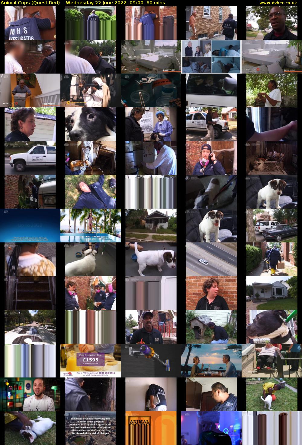 Animal Cops (Quest Red) Wednesday 22 June 2022 09:00 - 10:00