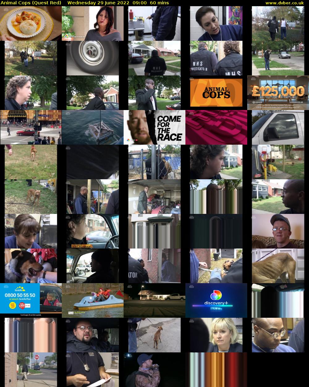 Animal Cops (Quest Red) Wednesday 29 June 2022 09:00 - 10:00