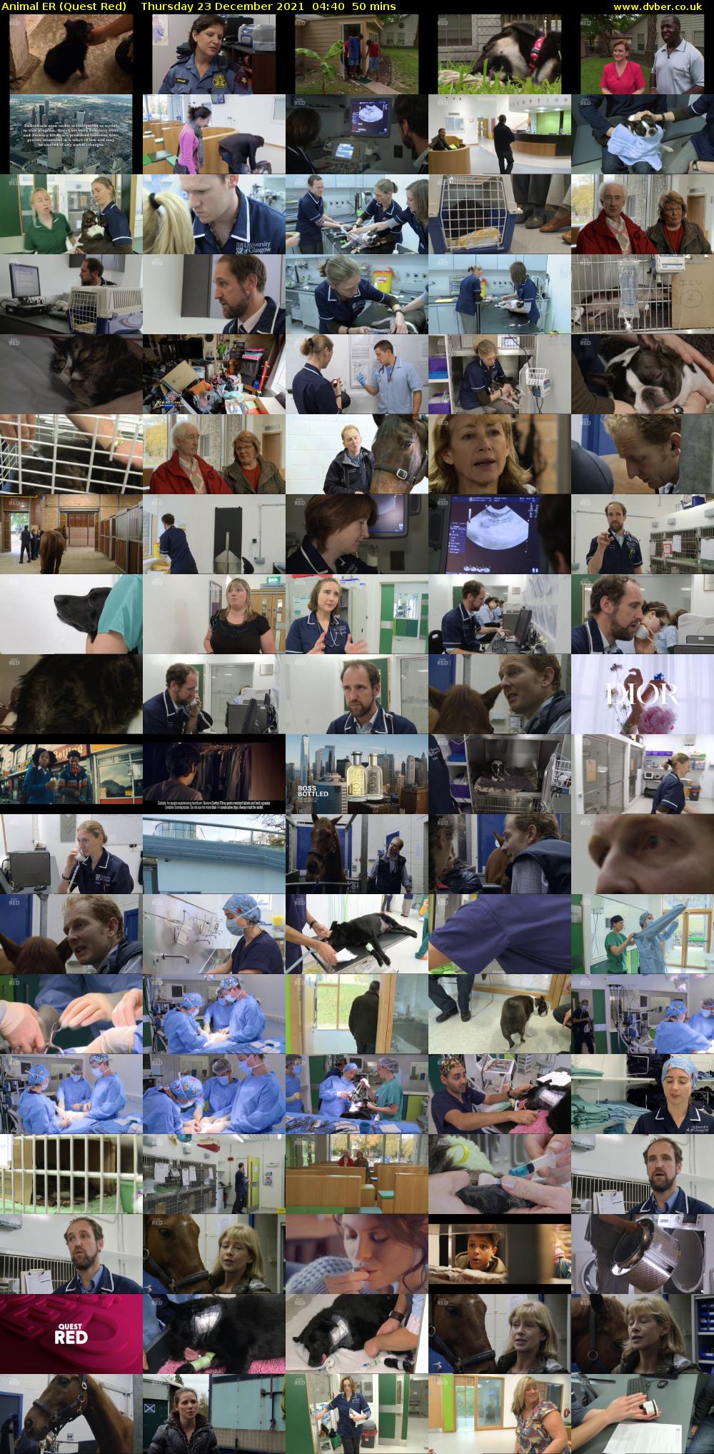 Animal ER (Quest Red) Thursday 23 December 2021 04:40 - 05:30