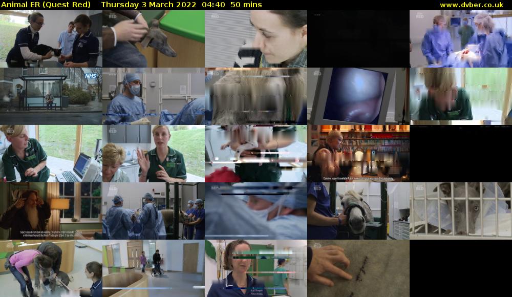 Animal ER (Quest Red) Thursday 3 March 2022 04:40 - 05:30