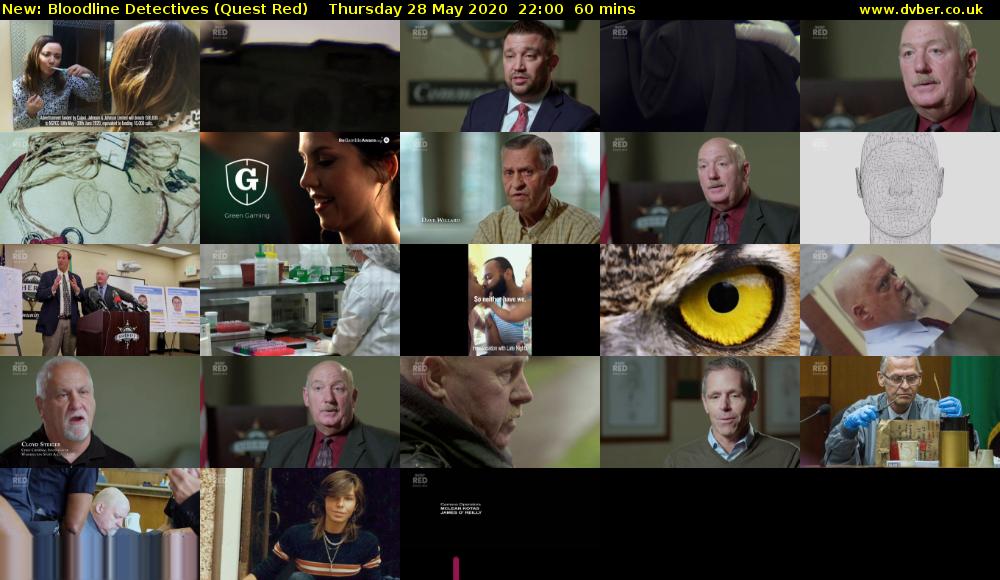Bloodline Detectives (Quest Red) Thursday 28 May 2020 22:00 - 23:00