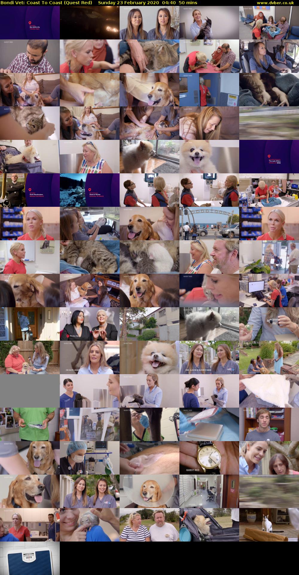 Bondi Vet: Coast To Coast (Quest Red) Sunday 23 February 2020 04:40 - 05:30