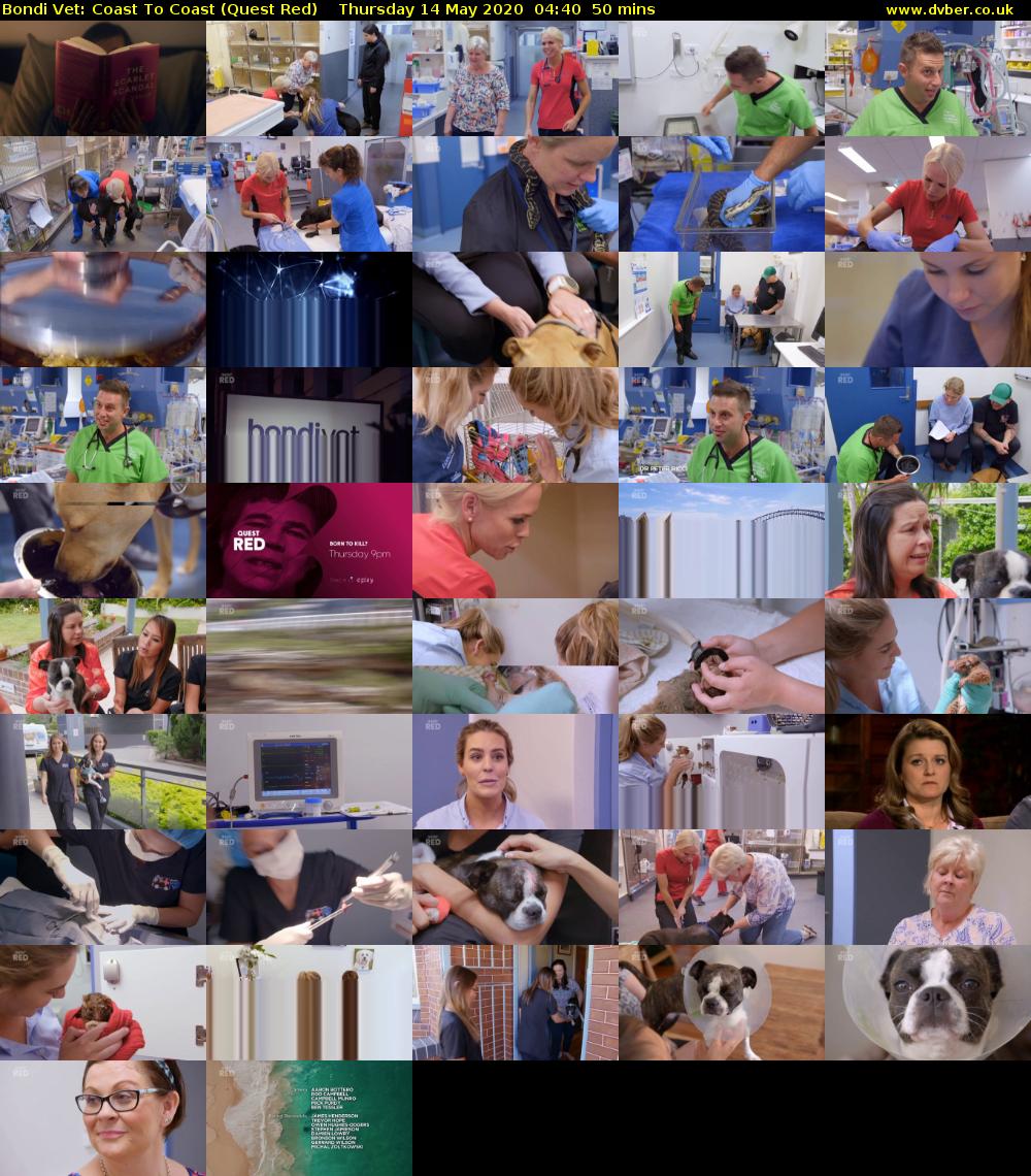 Bondi Vet: Coast To Coast (Quest Red) Thursday 14 May 2020 04:40 - 05:30