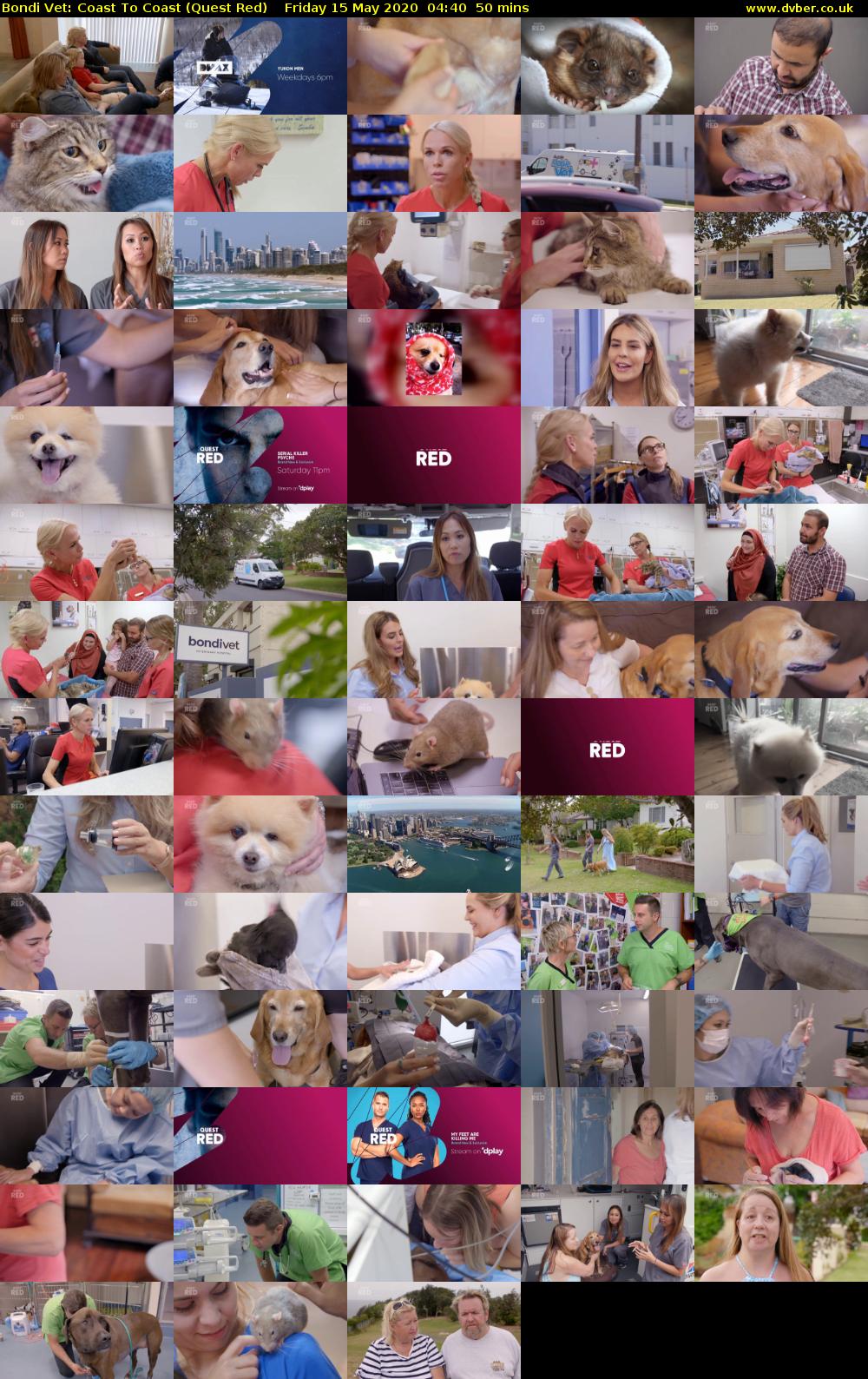 Bondi Vet: Coast To Coast (Quest Red) Friday 15 May 2020 04:40 - 05:30