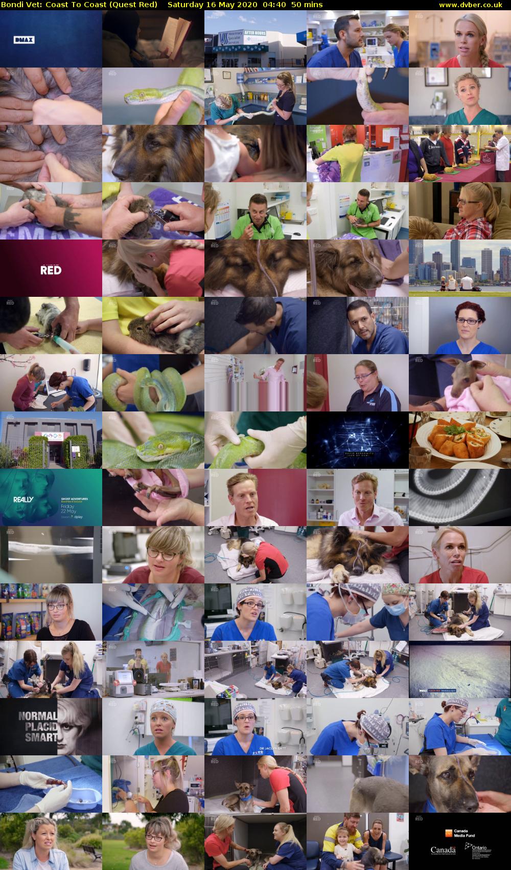 Bondi Vet: Coast To Coast (Quest Red) Saturday 16 May 2020 04:40 - 05:30