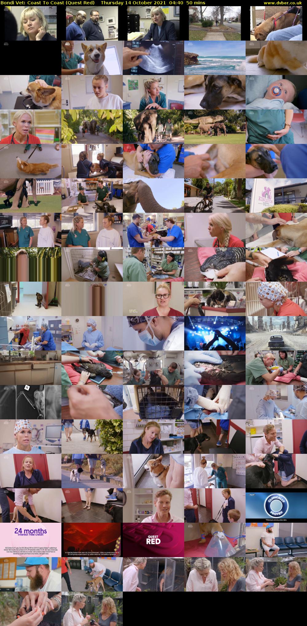 Bondi Vet: Coast To Coast (Quest Red) Thursday 14 October 2021 04:40 - 05:30