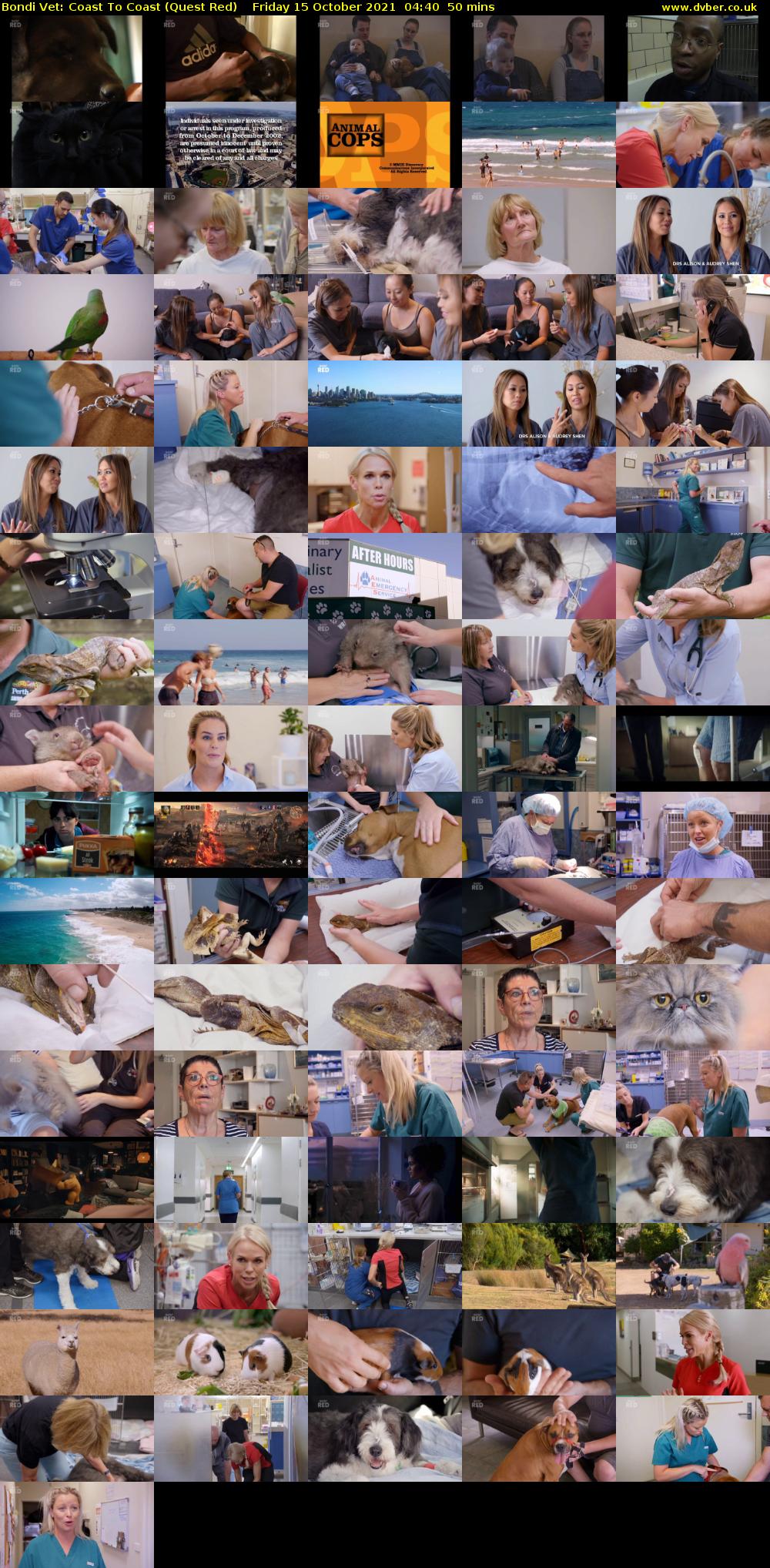 Bondi Vet: Coast To Coast (Quest Red) Friday 15 October 2021 04:40 - 05:30