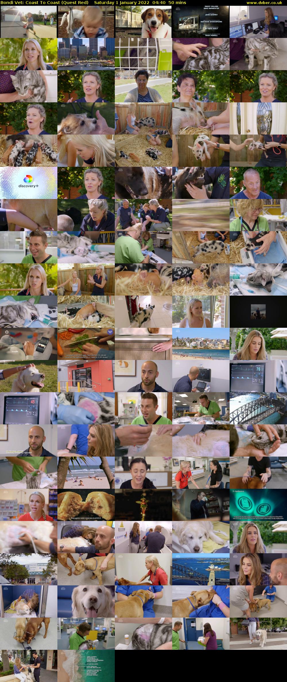 Bondi Vet: Coast To Coast (Quest Red) Saturday 1 January 2022 04:40 - 05:30
