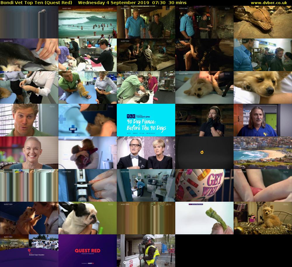 Bondi Vet Top Ten (Quest Red) Wednesday 4 September 2019 07:30 - 08:00
