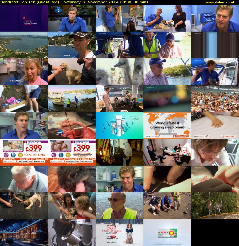 Bondi Vet Top Ten (Quest Red) Saturday 16 November 2019 08:00 - 08:30