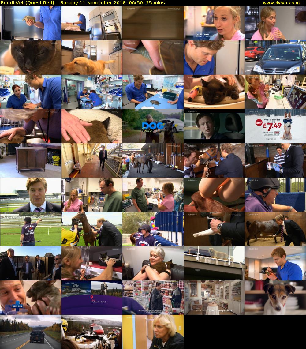 Bondi Vet (Quest Red) Sunday 11 November 2018 06:50 - 07:15