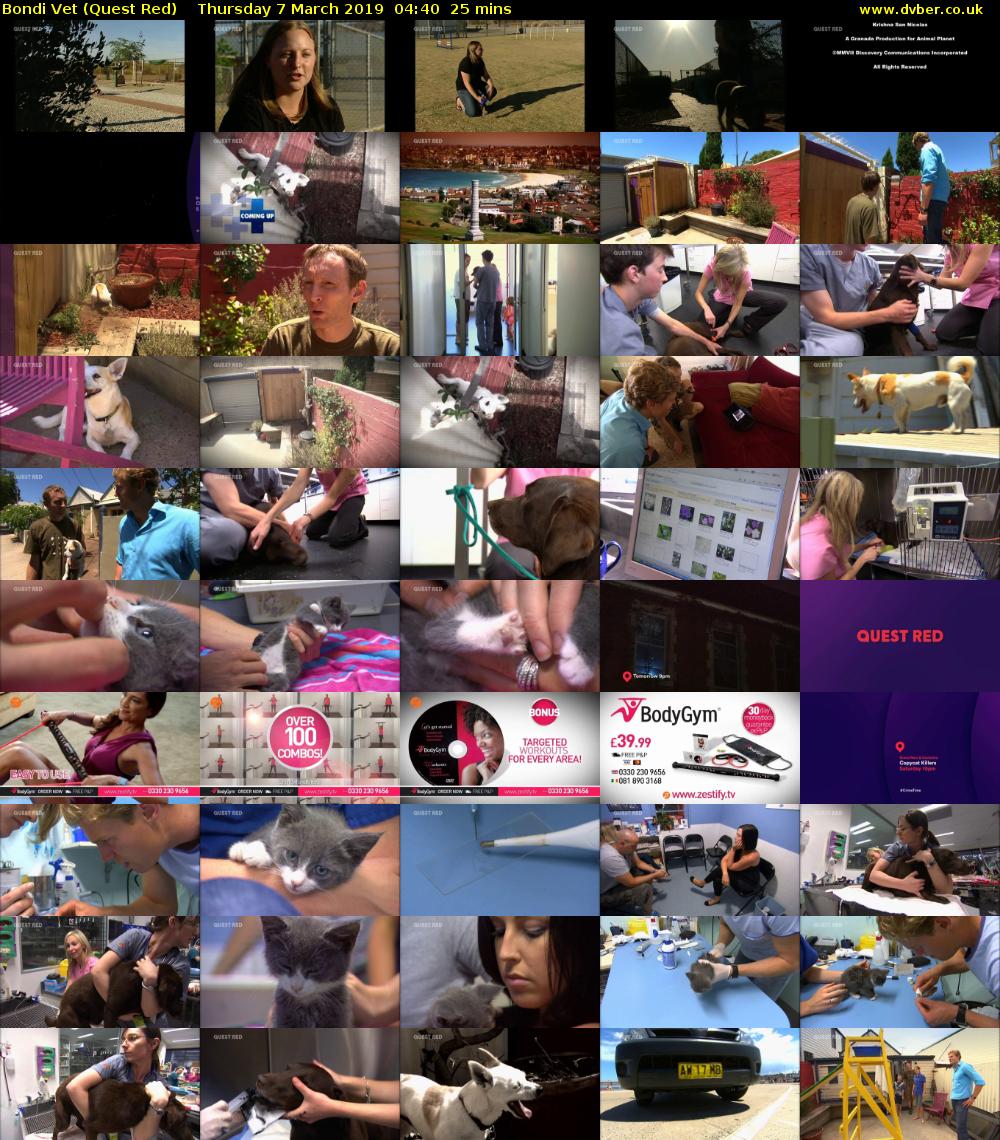 Bondi Vet (Quest Red) Thursday 7 March 2019 04:40 - 05:05