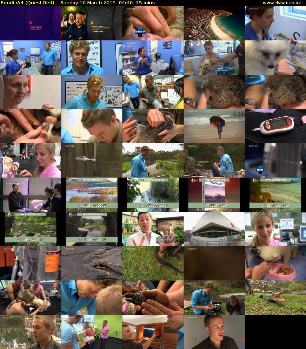 Bondi Vet (Quest Red) Sunday 10 March 2019 04:40 - 05:05