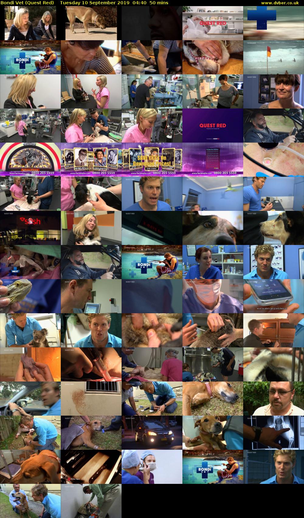 Bondi Vet (Quest Red) Tuesday 10 September 2019 04:40 - 05:30