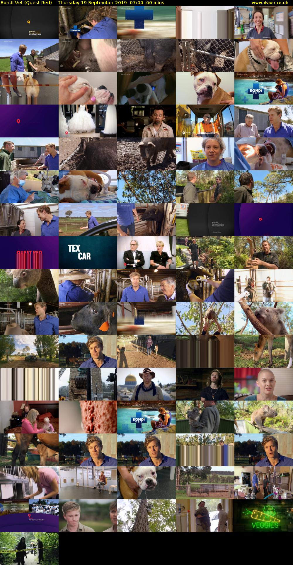 Bondi Vet (Quest Red) Thursday 19 September 2019 07:00 - 08:00