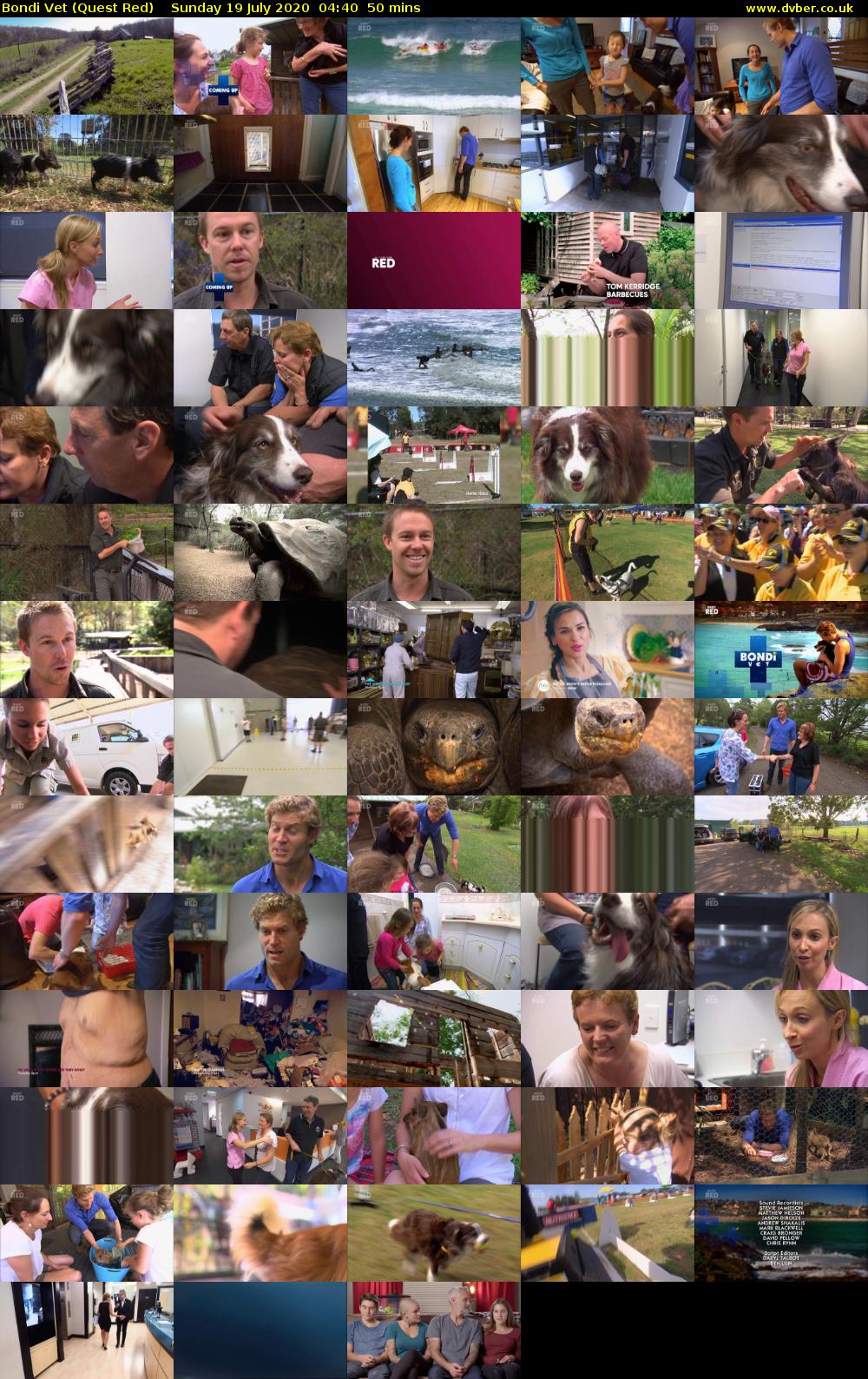 Bondi Vet (Quest Red) Sunday 19 July 2020 04:40 - 05:30