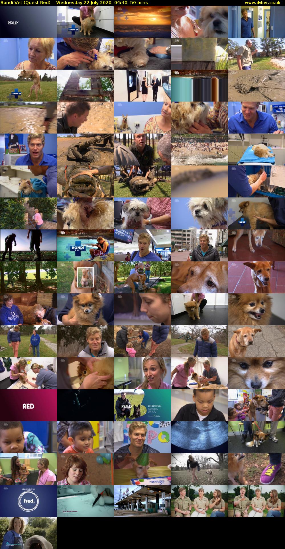 Bondi Vet (Quest Red) Wednesday 22 July 2020 04:40 - 05:30