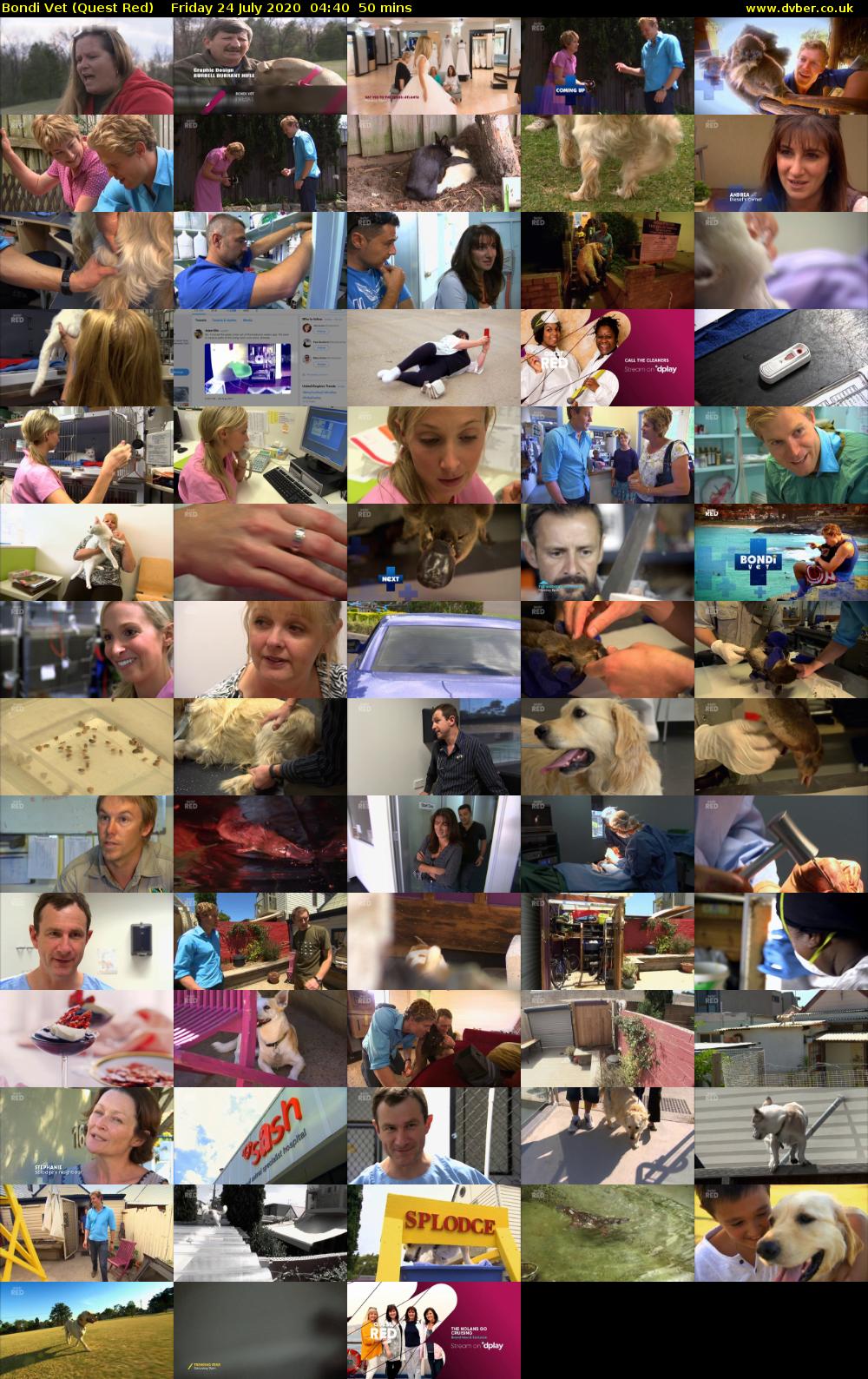 Bondi Vet (Quest Red) Friday 24 July 2020 04:40 - 05:30