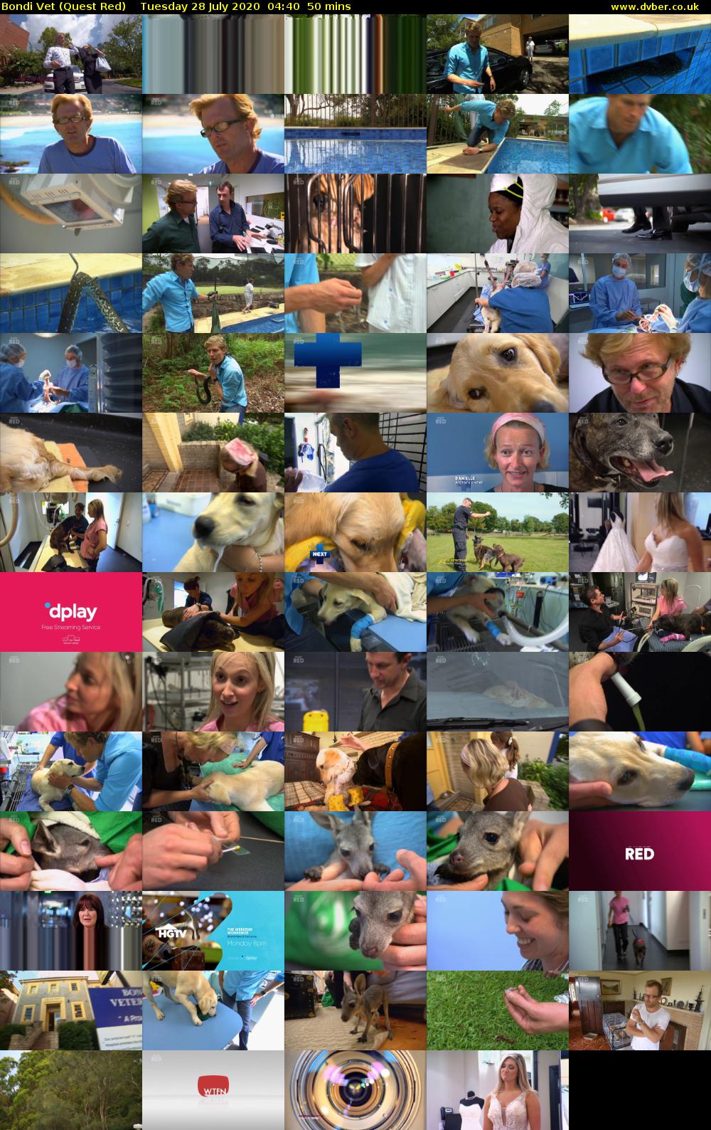Bondi Vet (Quest Red) Tuesday 28 July 2020 04:40 - 05:30