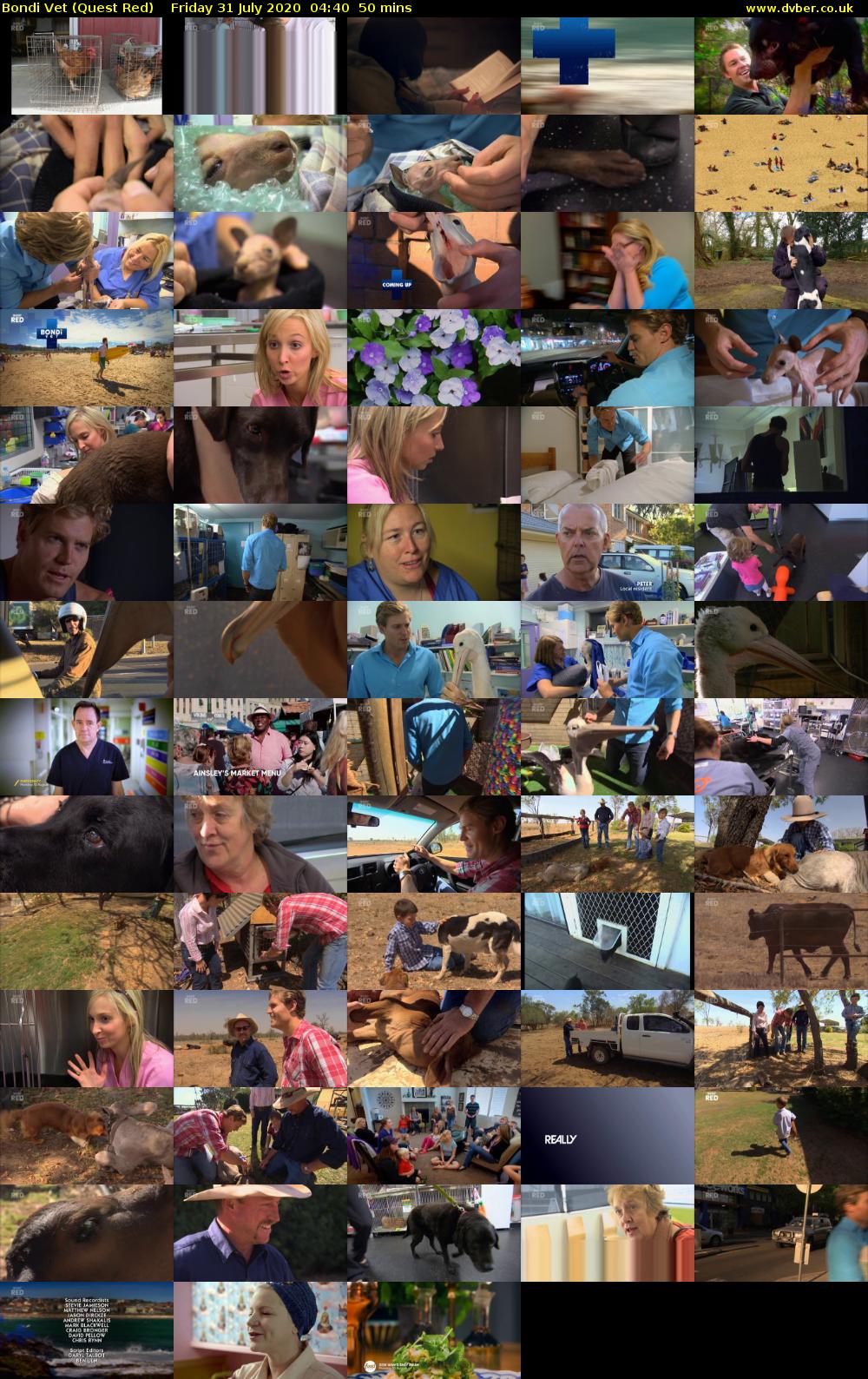 Bondi Vet (Quest Red) Friday 31 July 2020 04:40 - 05:30