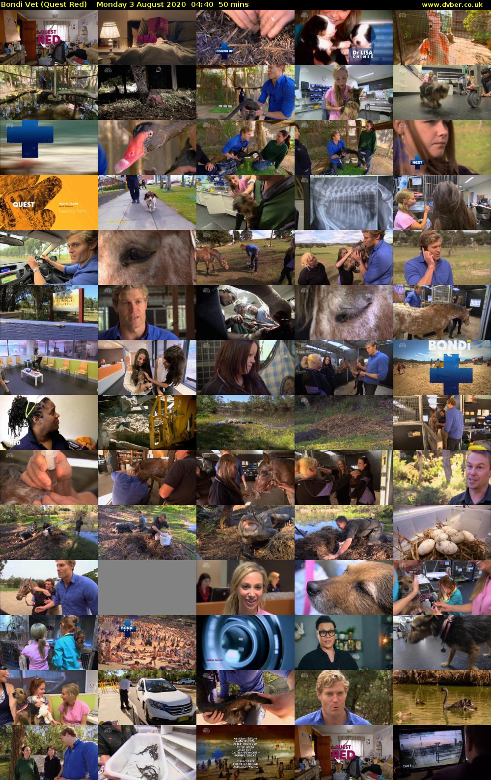 Bondi Vet (Quest Red) Monday 3 August 2020 04:40 - 05:30