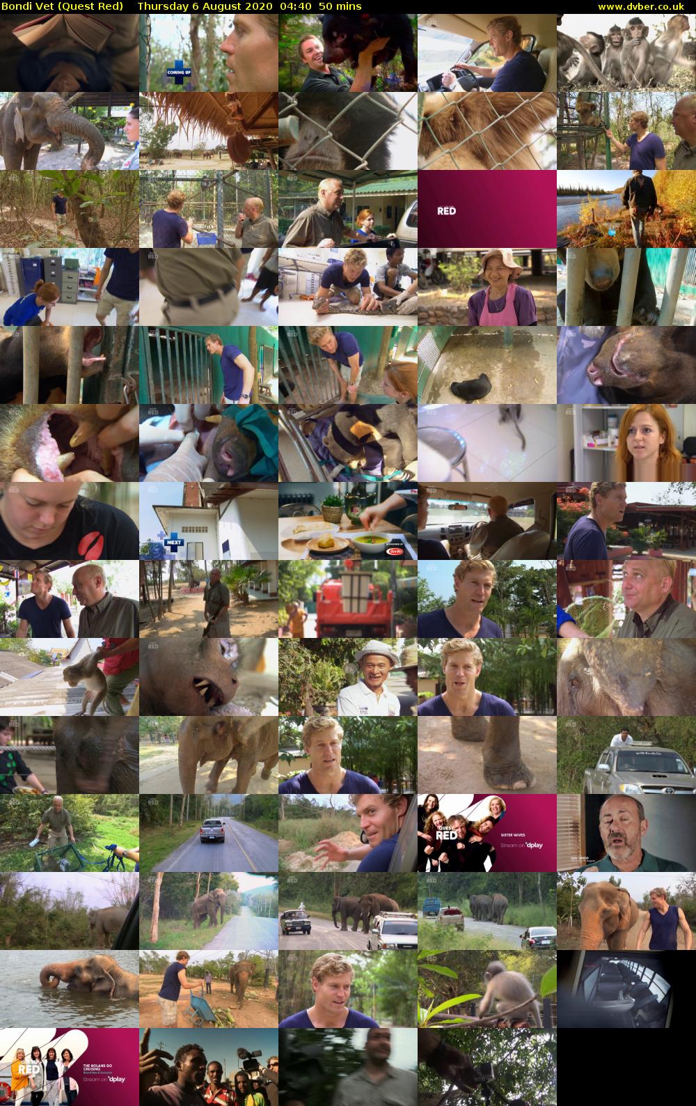 Bondi Vet (Quest Red) Thursday 6 August 2020 04:40 - 05:30