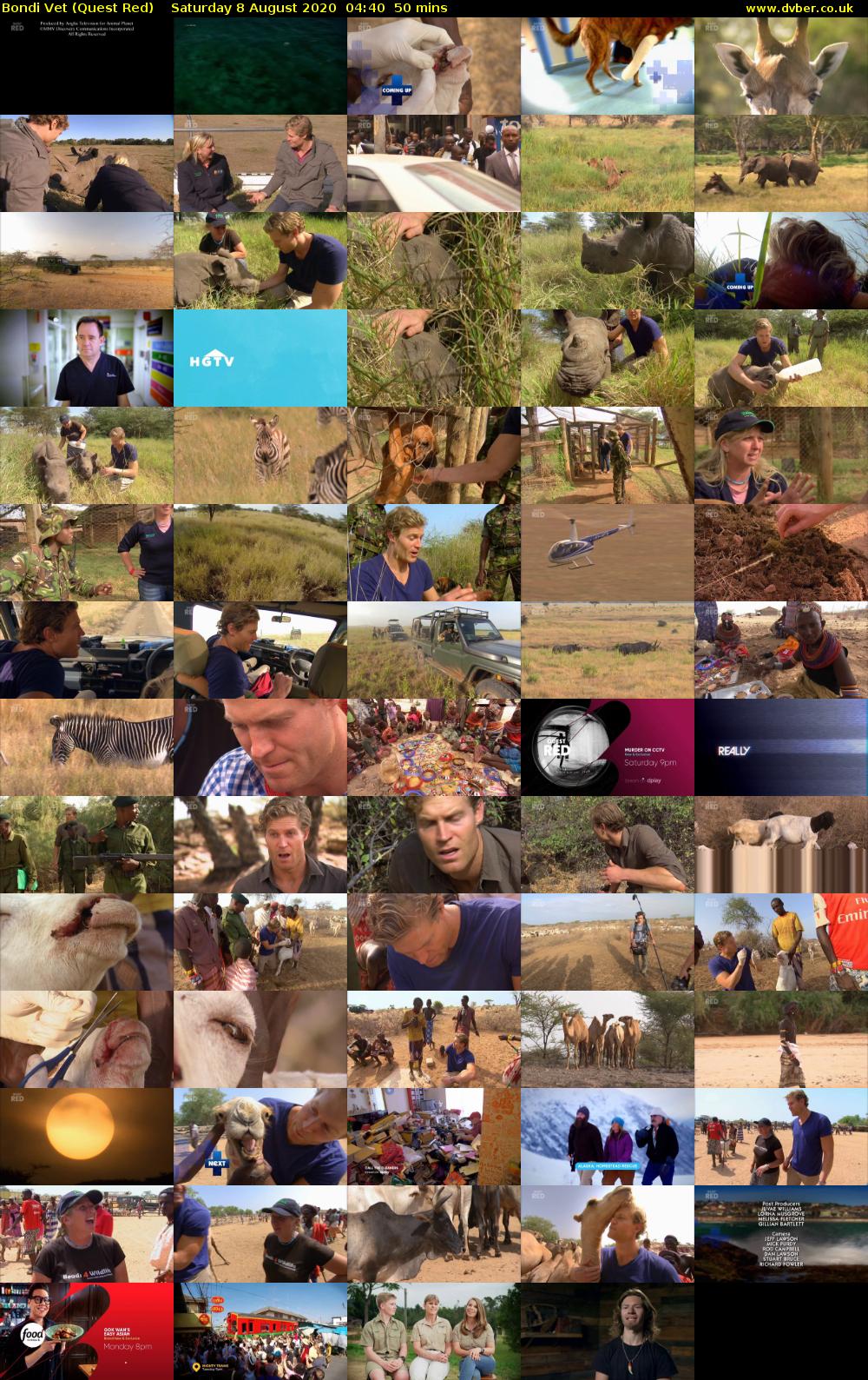 Bondi Vet (Quest Red) Saturday 8 August 2020 04:40 - 05:30