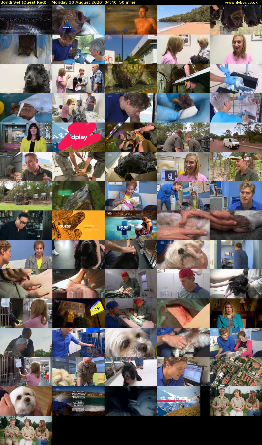 Bondi Vet (Quest Red) Monday 10 August 2020 04:40 - 05:30